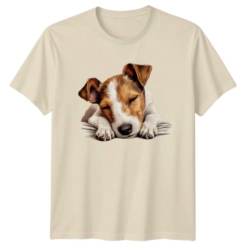Jack russell terrier - jack, puppy