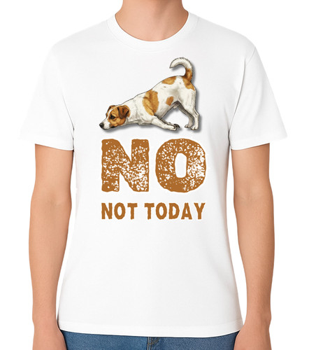 Jack russell funny dog not - jack,
