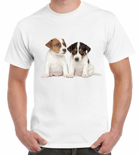Jack russell terrier puppies - jack,