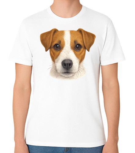 Jack russell terrier dog - terrier,