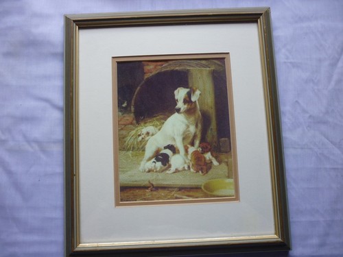 Jack russell terrier - jack, mum