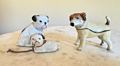 Jack russell terrier jeweled - jack,