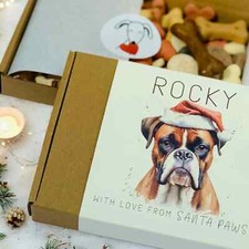 Boxer Dog Xmas Present -