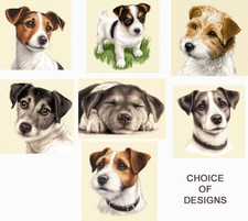 JACK RUSSELL TERRIER pup, dog