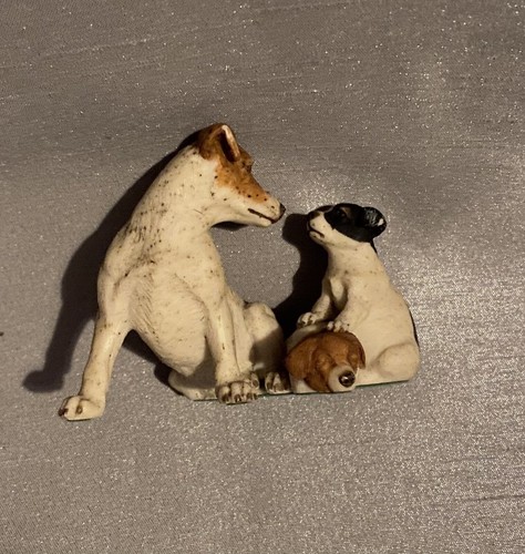 Teviotdale jack russel and - teviotdale,