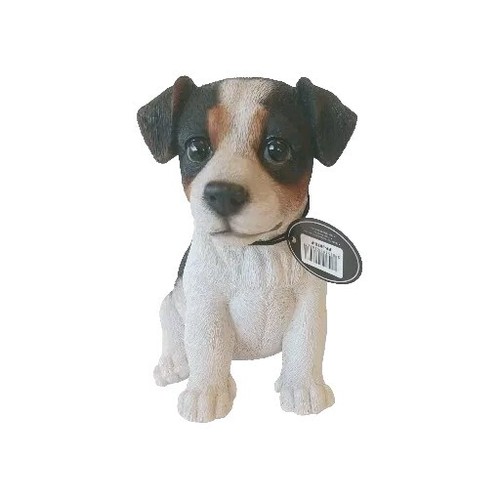 Tricolour jack russell dog - :~tricolour,