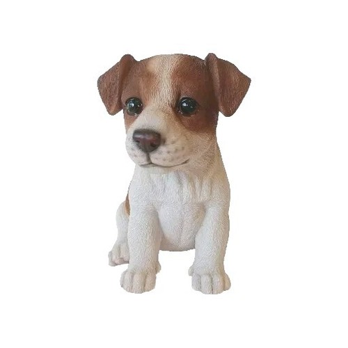 Jack russell puppy - russell,