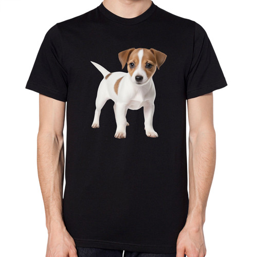 Jack russell puppy - jack,